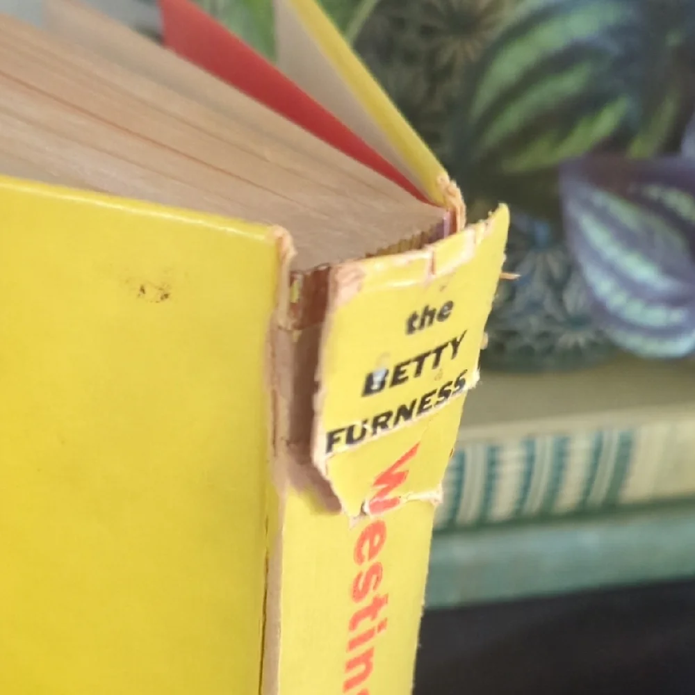 Vintage Westinghouse Cook Book by Julia Kiene